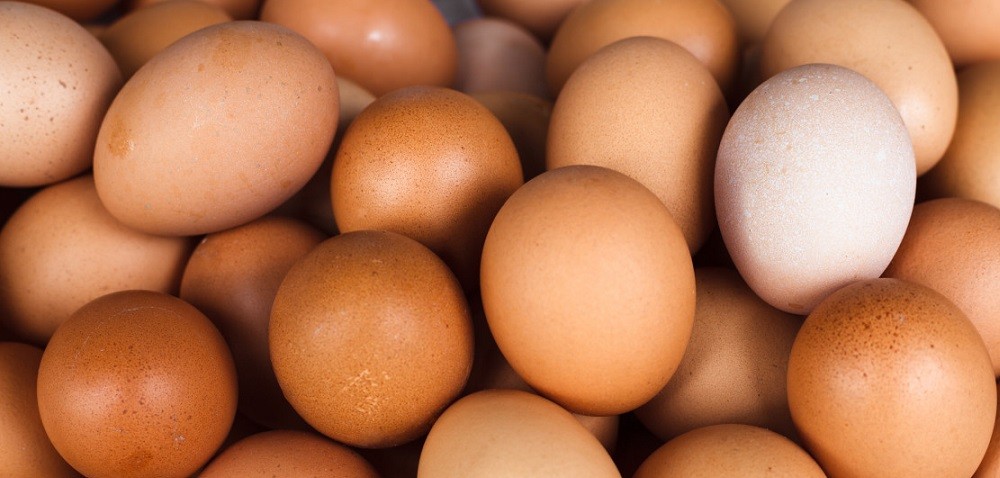 Jak wzmocnić skorupkę jajka?